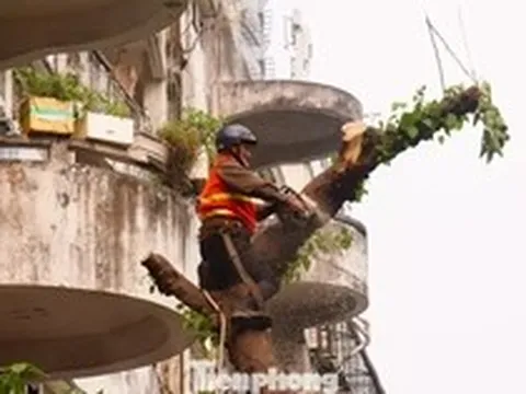 Hà Nội phá dỡ chung cư 51 Huỳnh Thúc Kháng sau 35 năm