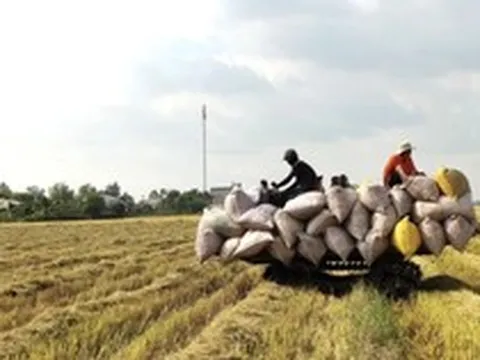 Giá xăng dầu điều chỉnh nhưng nhiều dịch vụ lại không giảm tương ứng