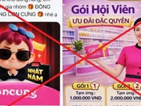 Sập bẫy nhóm “Đồng hành cùng Con Cưng”, người phụ nữ ở Hà Nội mất gần 1 tỷ đồng