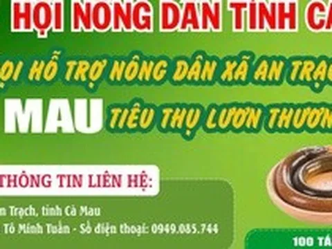 Cà Mau kêu gọi "giải cứu" lươn với giá 60.000 đồng/kg