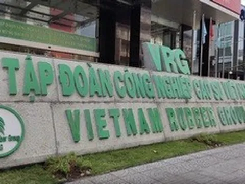 GVR báo lãi kỷ lục quý I/2026, mảng cao su tiếp tục dẫn dắt tăng trưởng