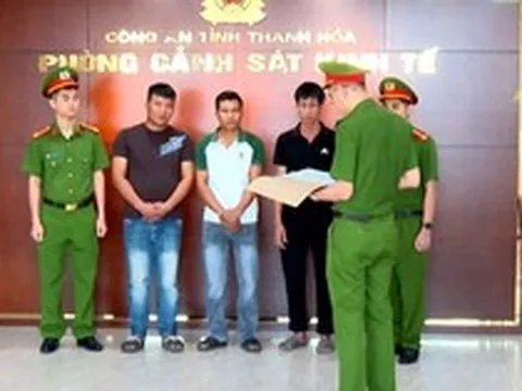 Mua bán lợn nhiễm tả châu Phi về giết mổ bán ra thị trường, 3 người bị khởi tố