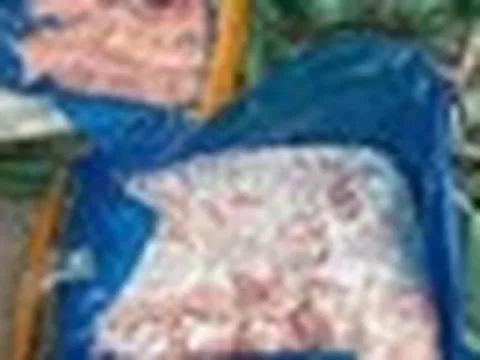 15 tấn bì lợn, xúc xích, thực phẩm đông lạnh bị thu giữ sau 1 tháng kiểm tra