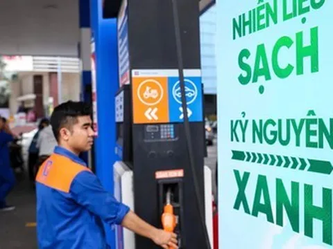 Thứ trưởng Bộ Công Thương: Tất cả loại xe đều phù hợp để sử dụng xăng E10