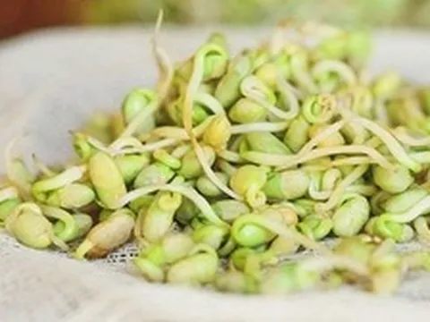 Đừng vội vứt! Những loại thực phẩm càng nảy mầm càng bổ dưỡng, nhiều người vẫn tưởng phải bỏ ngay
