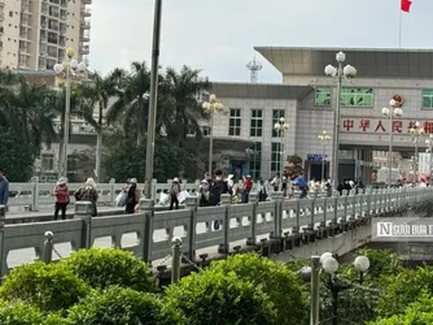 Quảng Ninh: Hải quan khu vực VIII thu ngân sách đạt gần 7.500 tỷ đồng