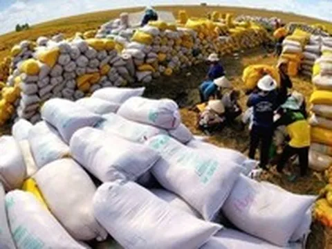 Việt Nam đón tin vui từ mặt hàng xuất khẩu chủ lực: Sản phẩm cao cấp ngày càng được ưa chuộng