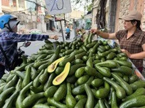 Nguồn cung tăng, sức mua giảm, giá trái cây ở TP.HCM lao dốc