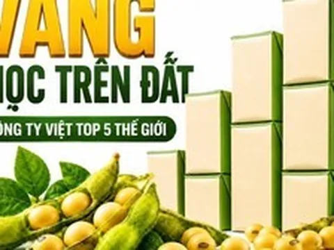 Được GS.TS Trần Đình Long ví như “vàng mọc trên đất”, loài cây này giúp một doanh nghiệp Việt vào Top 5 thế giới, doanh thu hơn 4.100 tỷ đồng/năm
