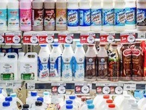 Hàng trăm tấn sữa tươi bị 'bỏ rơi' mỗi ngày, phải đem đi làm phân bón: Một thị trường Đông Nam Á bất ngờ khủng hoảng